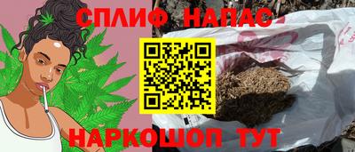 стаф Моздок