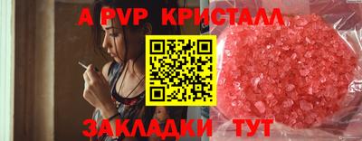 стаф Моздок
